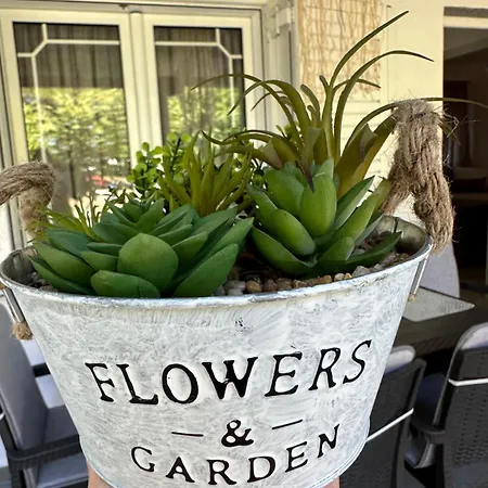 Apartamento Sandi's House